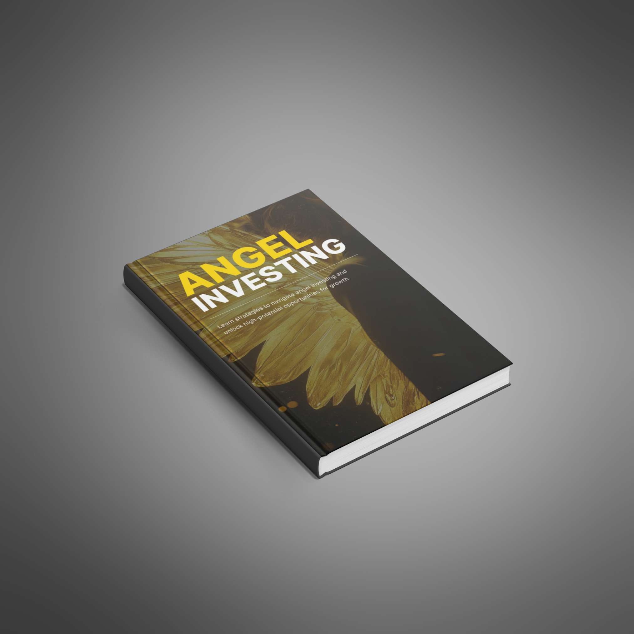 angel investing