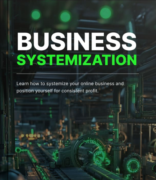 business systemization