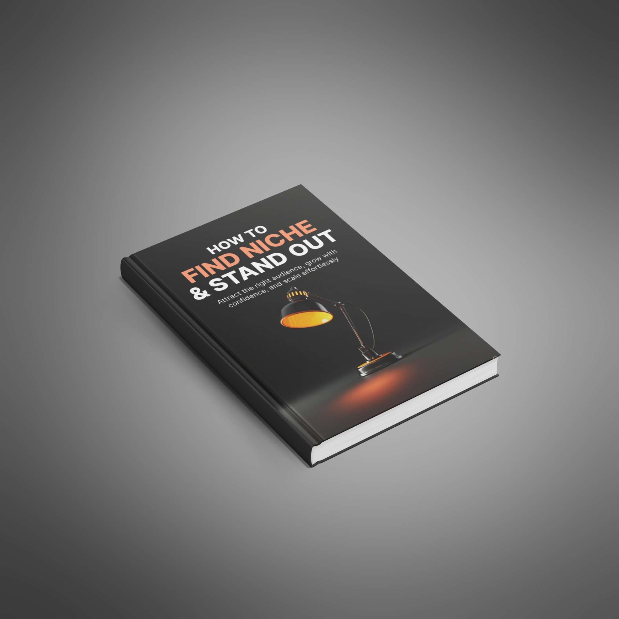 how to find niche and stand out