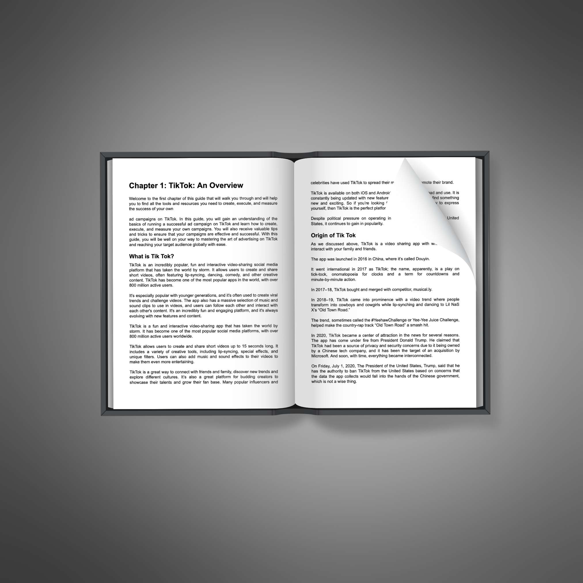 digital downloads, eBook Bundles, Audiobooks, Video Courses, Workbooks, Templates, Prompt Packs, Guides, inspirational, motivation, online business, productivity