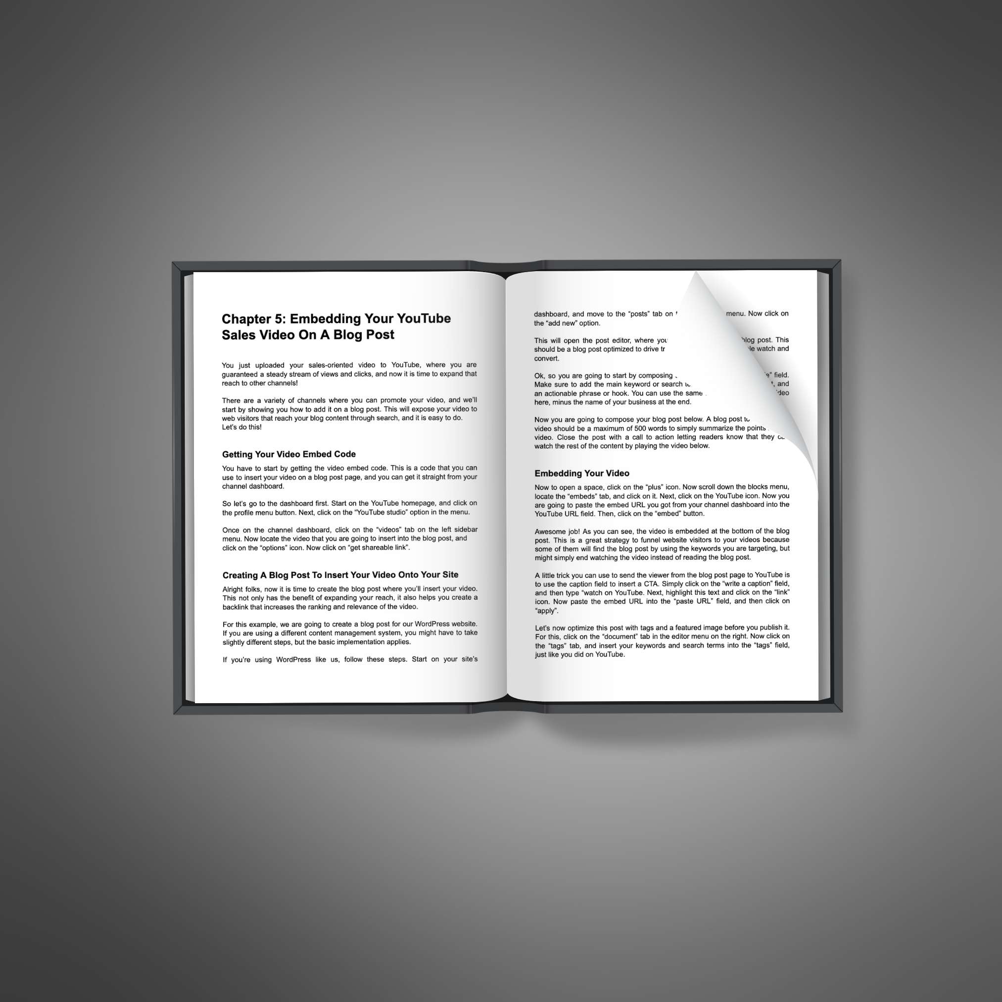 digital downloads, eBook Bundles, Audiobooks, Video Courses, Workbooks, Templates, Prompt Packs, Guides, inspirational, motivation, online business, productivity